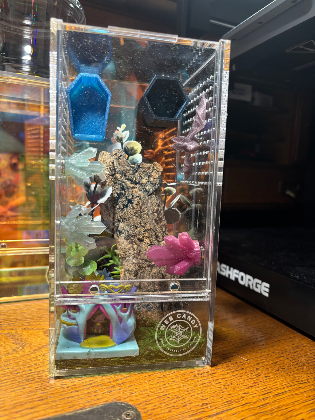My Little Pony Twilight Jumping Spider Enclosure