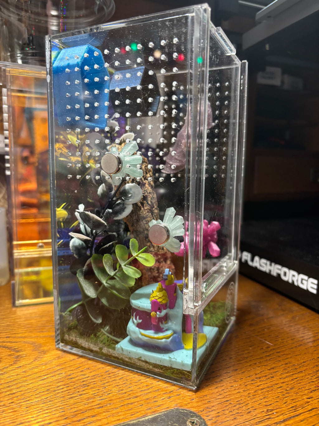 My Little Pony Twilight Jumping Spider Enclosure