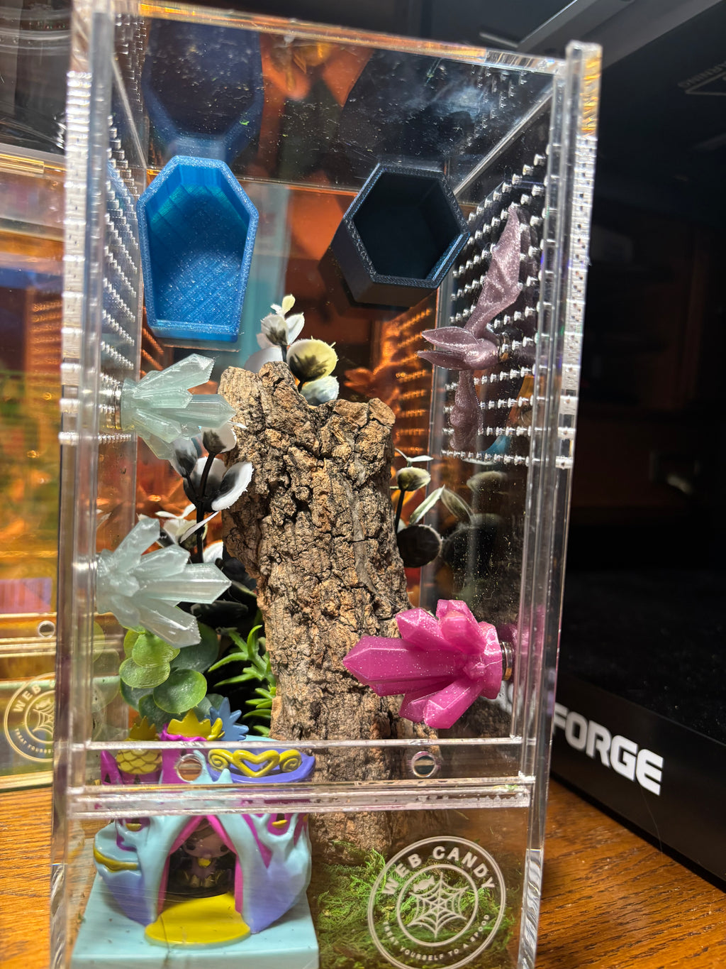 My Little Pony Twilight Jumping Spider Enclosure
