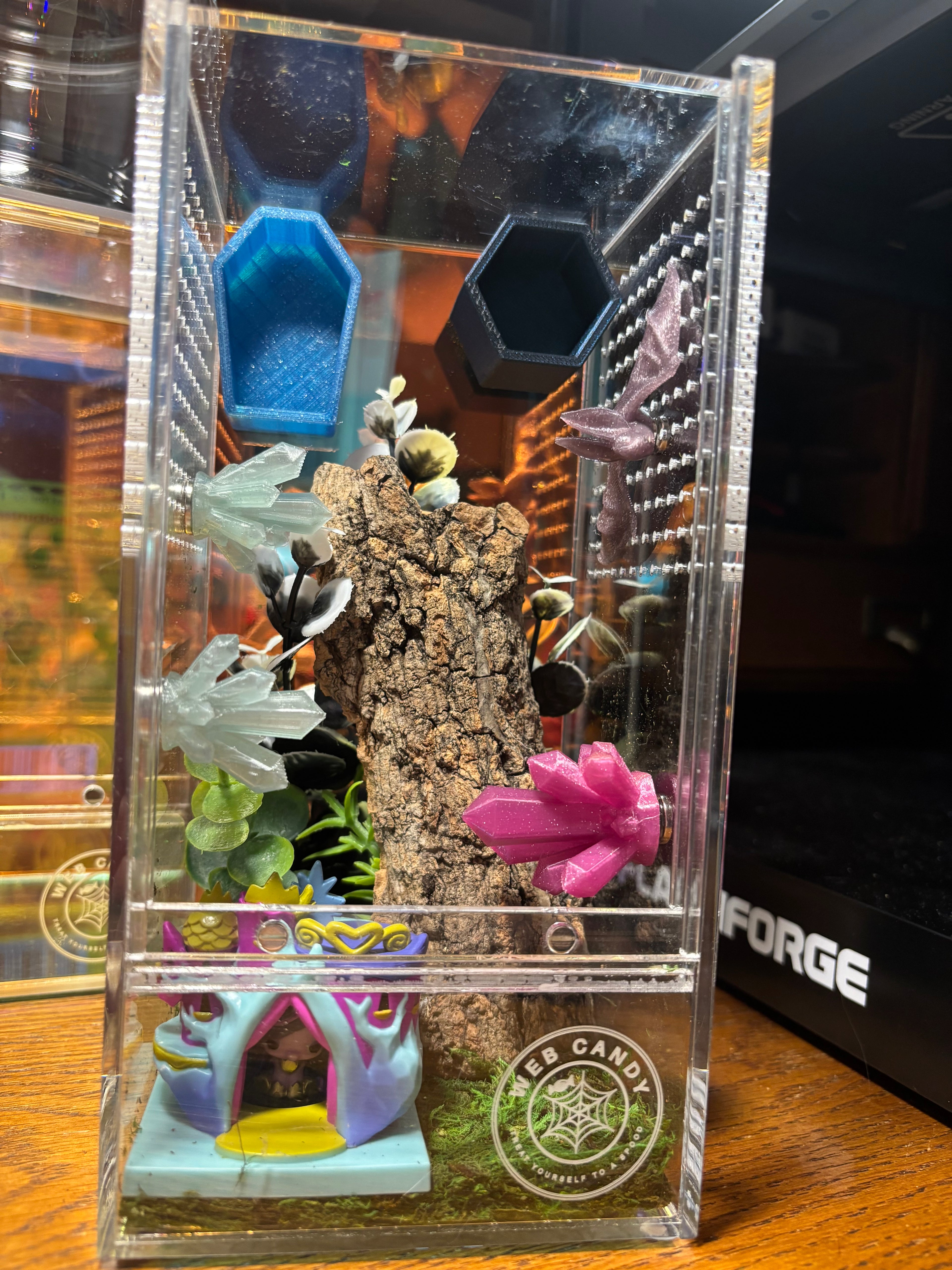My Little Pony Twilight Jumping Spider Enclosure