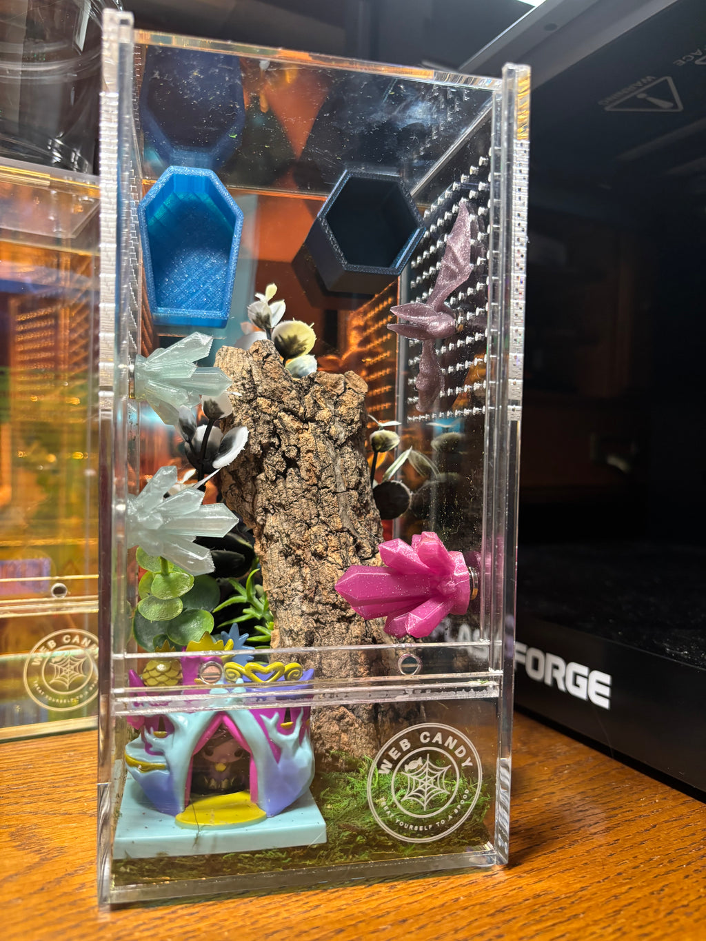 My Little Pony Twilight Jumping Spider Enclosure