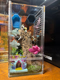 My Little Pony Twilight Jumping Spider Enclosure