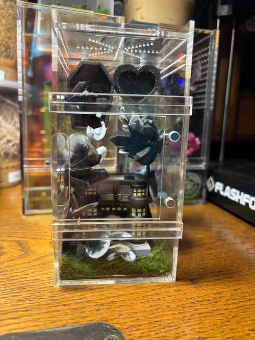 Harry Potter Ollivander Jumping Spider Enclosure