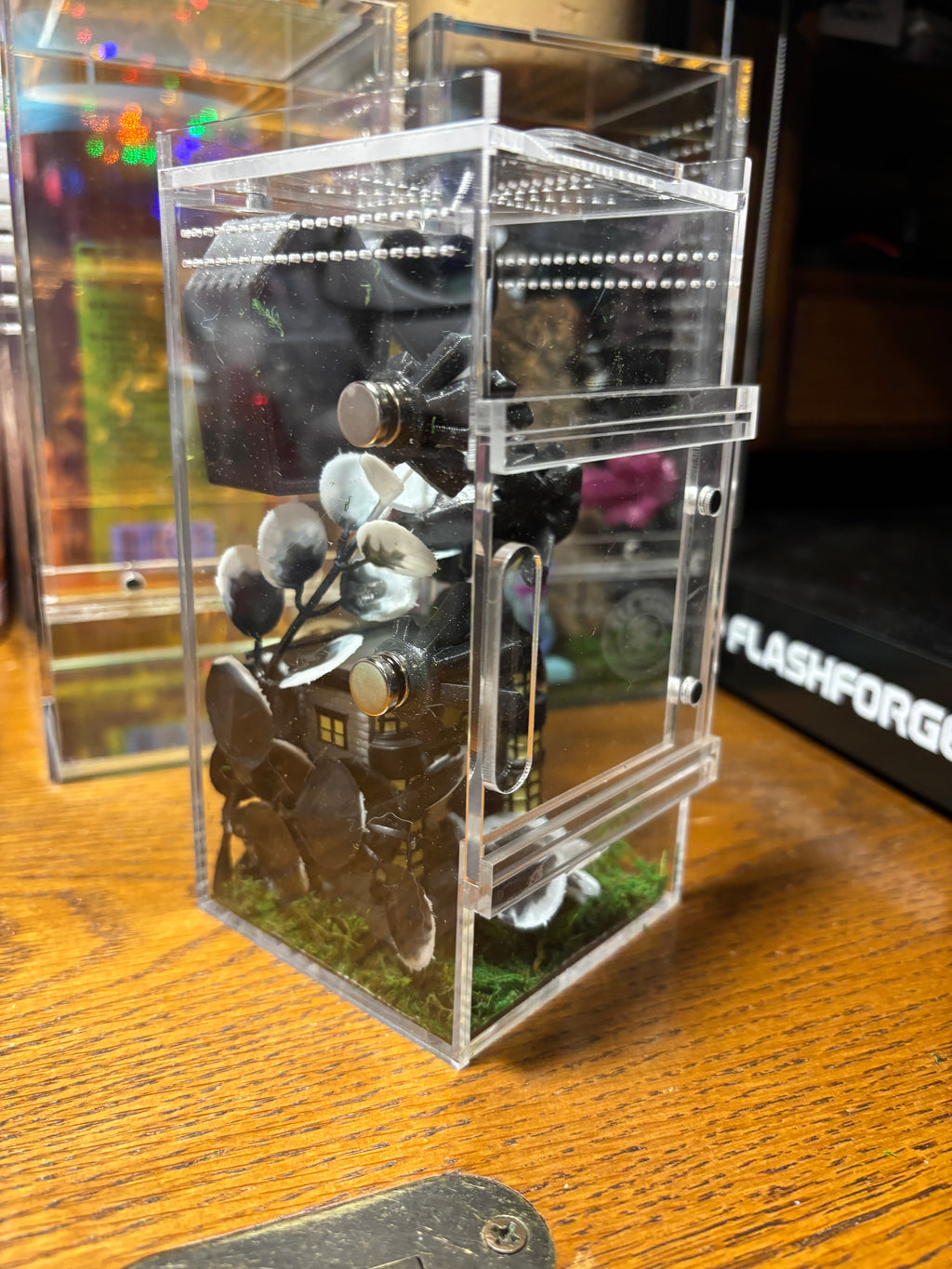 Harry Potter Ollivander Jumping Spider Enclosure