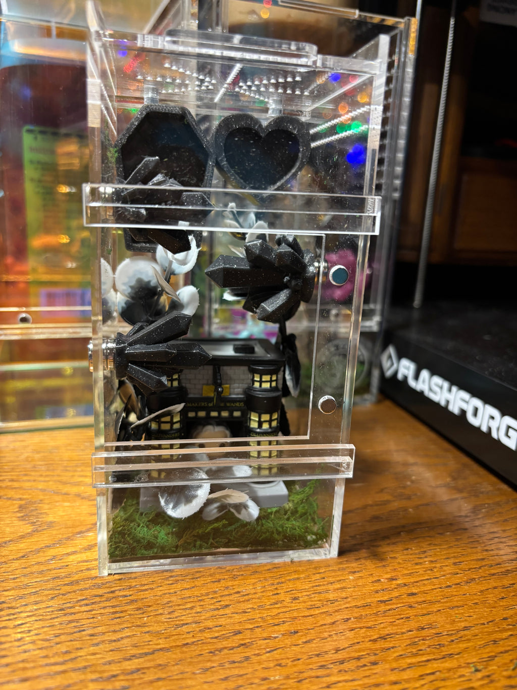 Harry Potter Ollivander Jumping Spider Enclosure