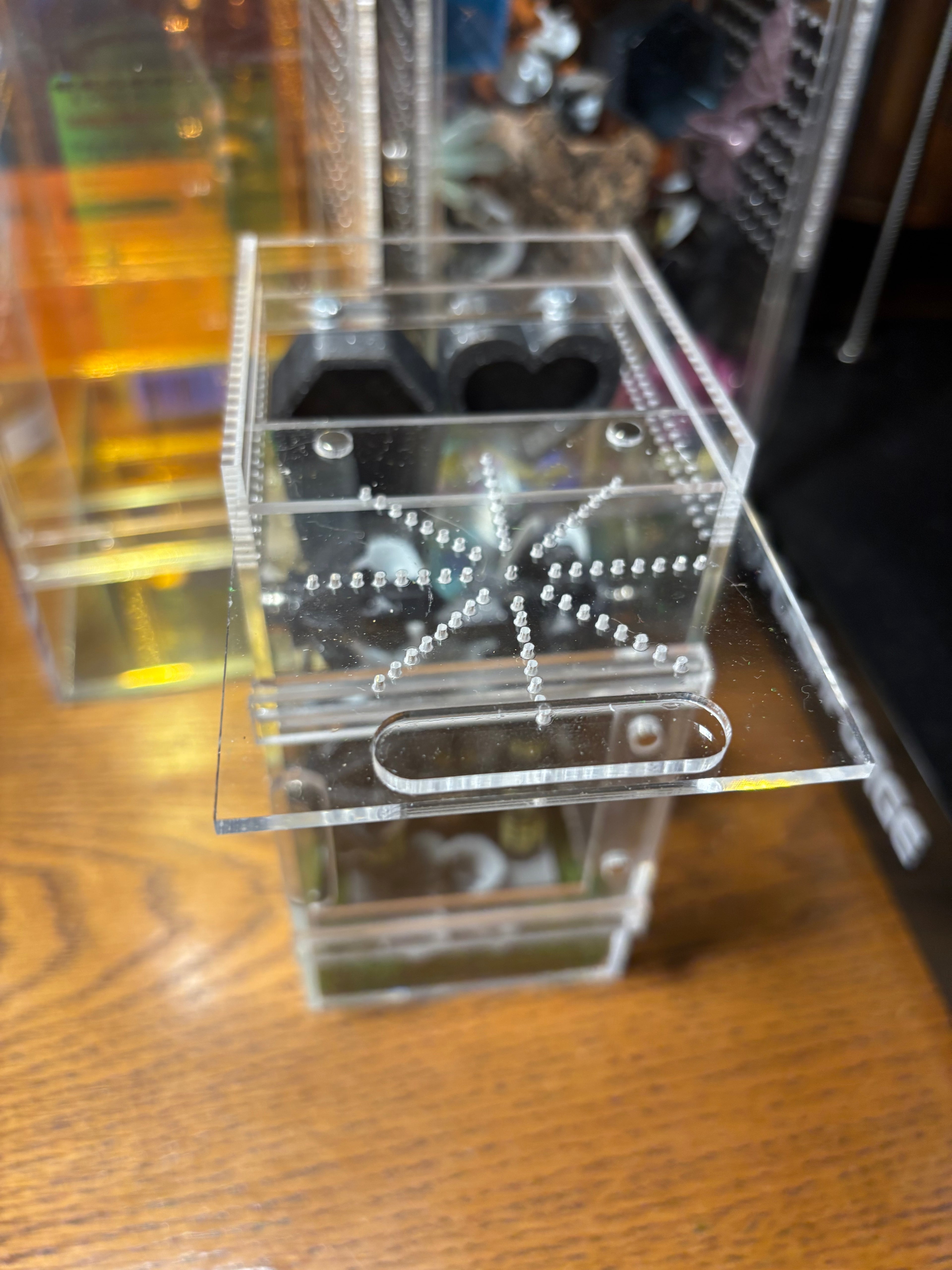 Harry Potter Ollivander Jumping Spider Enclosure