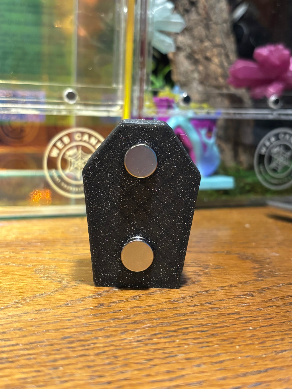 Magnetic Coffin Spider Hide