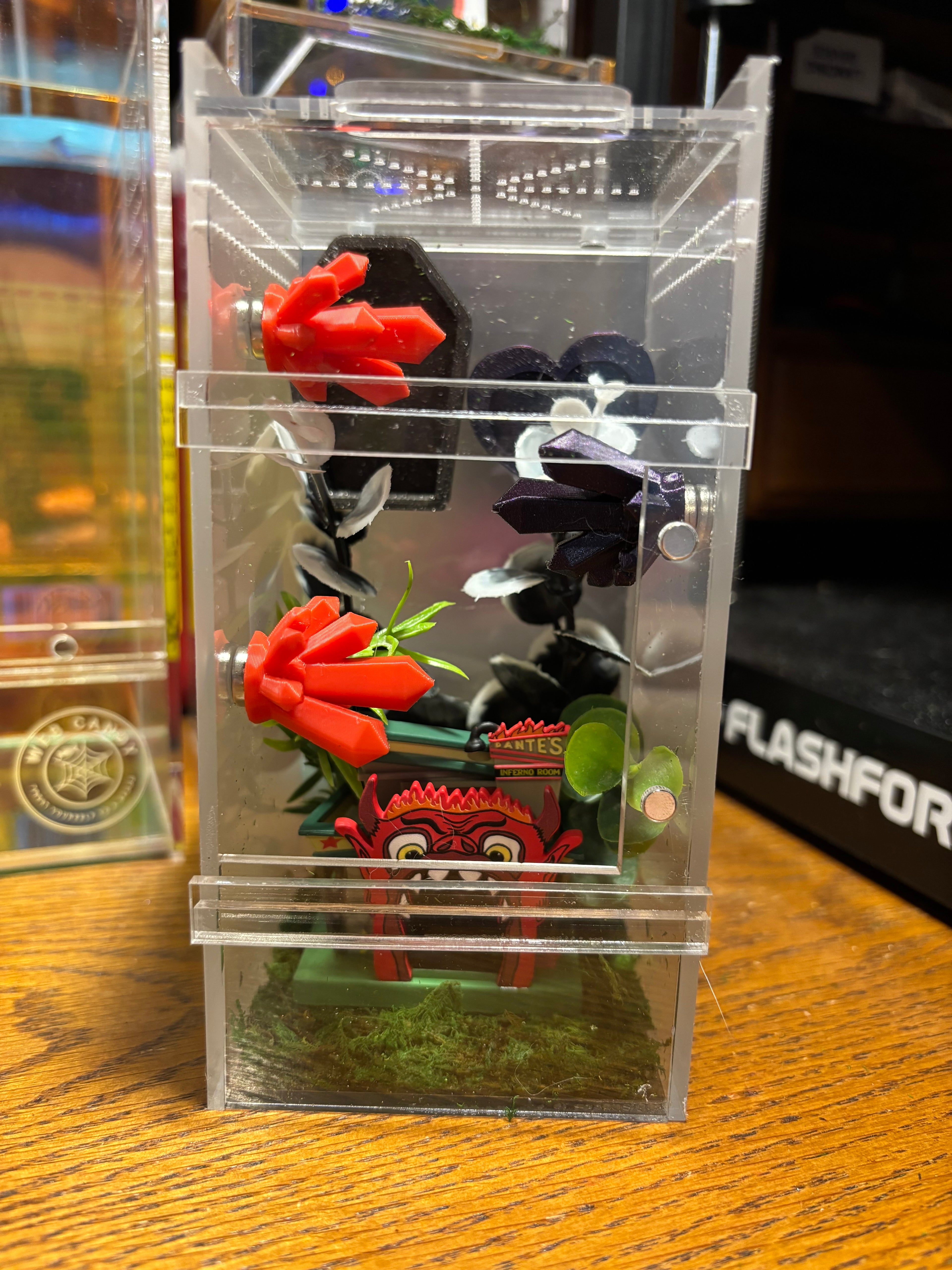 Beetlejuice Jumping Spider Enclosure