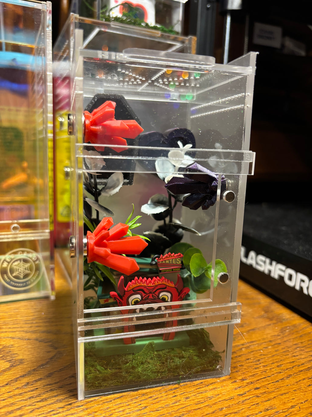 Beetlejuice Jumping Spider Enclosure