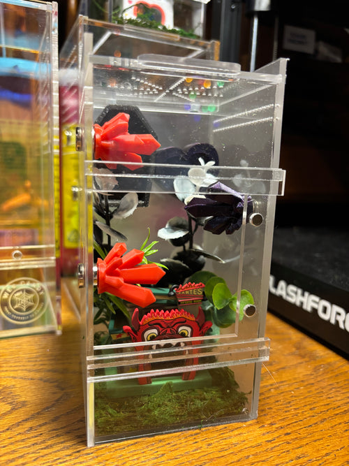Beetlejuice Jumping Spider Enclosure