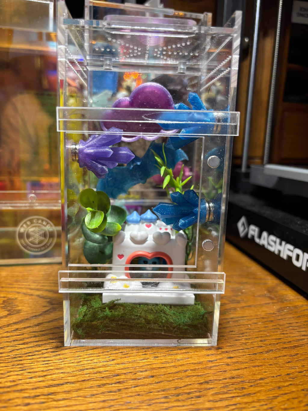 Care Bears Jumping Spider Enclosure