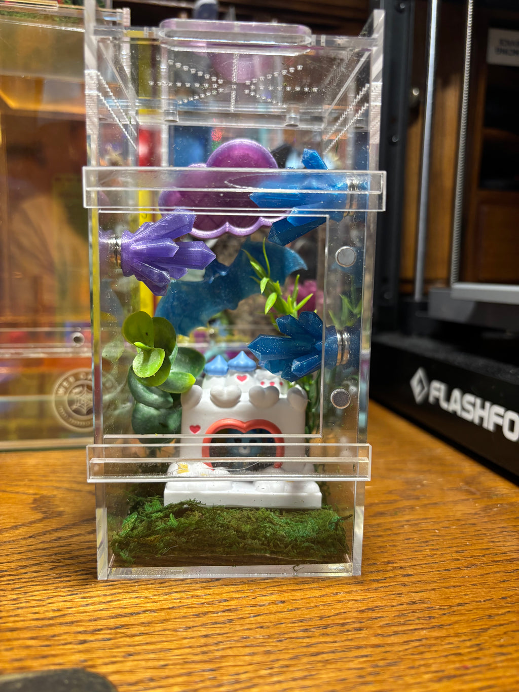 Care Bears Jumping Spider Enclosure