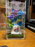 Care Bears Jumping Spider Enclosure