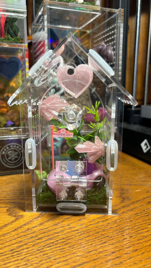 Barbie Car Jumping Spider Enclosure