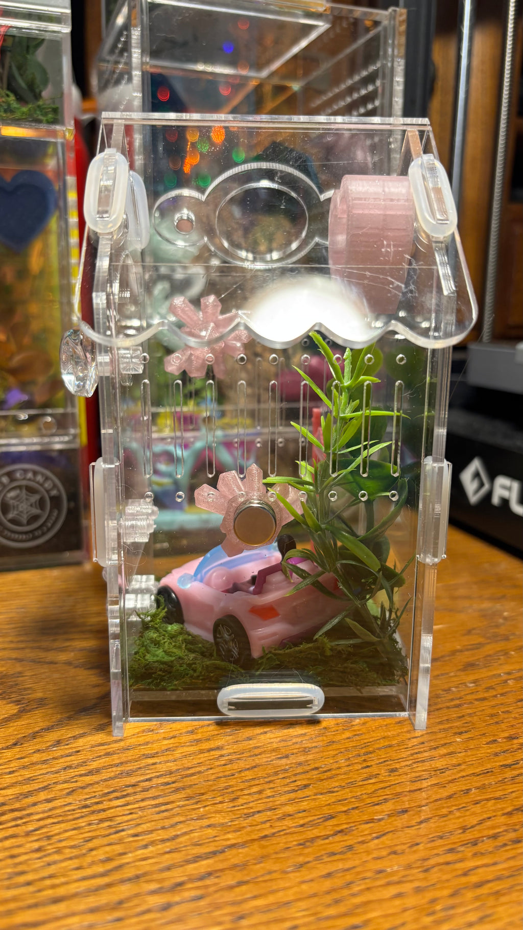 Barbie Car Jumping Spider Enclosure