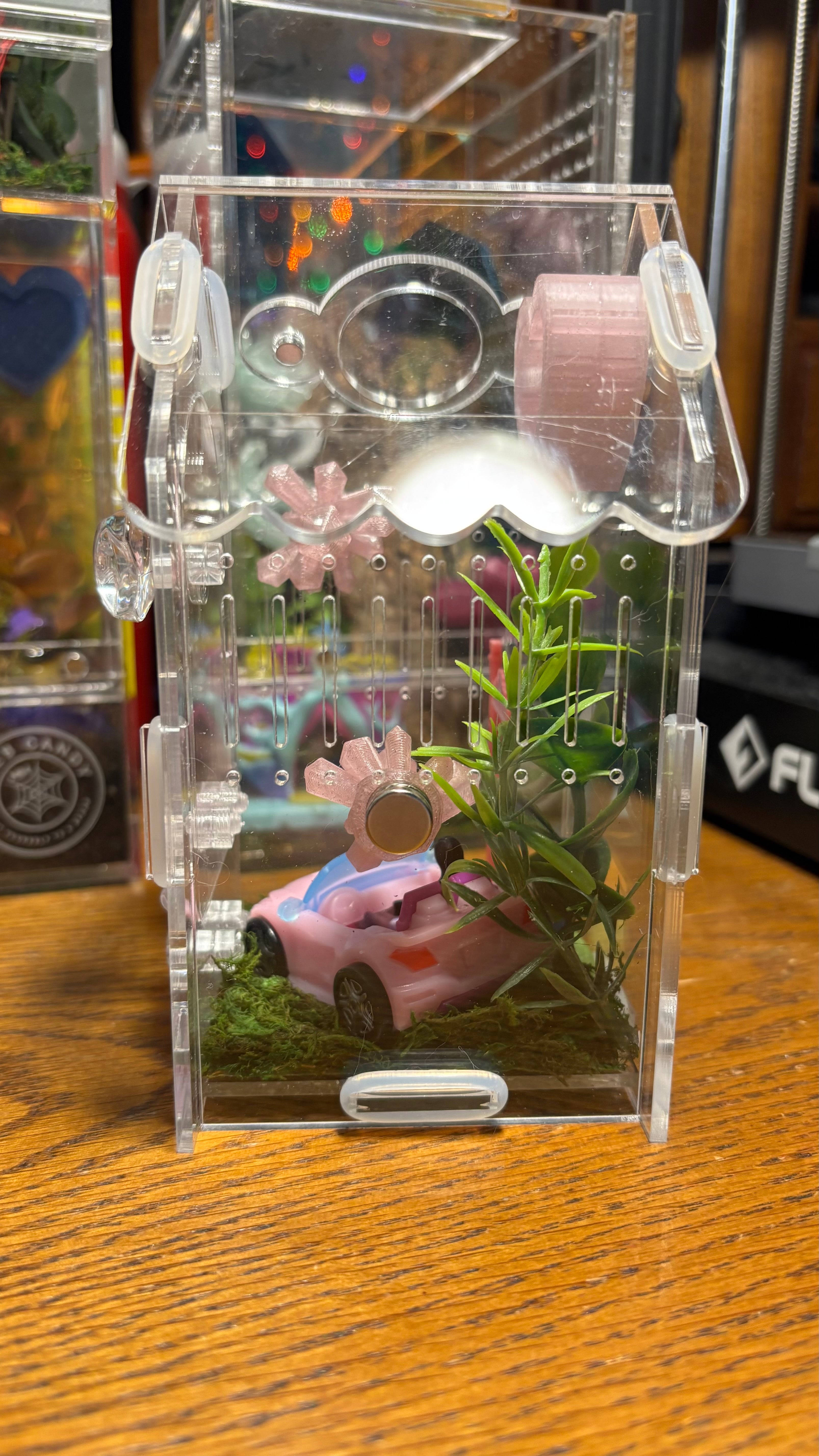 Barbie Car Jumping Spider Enclosure