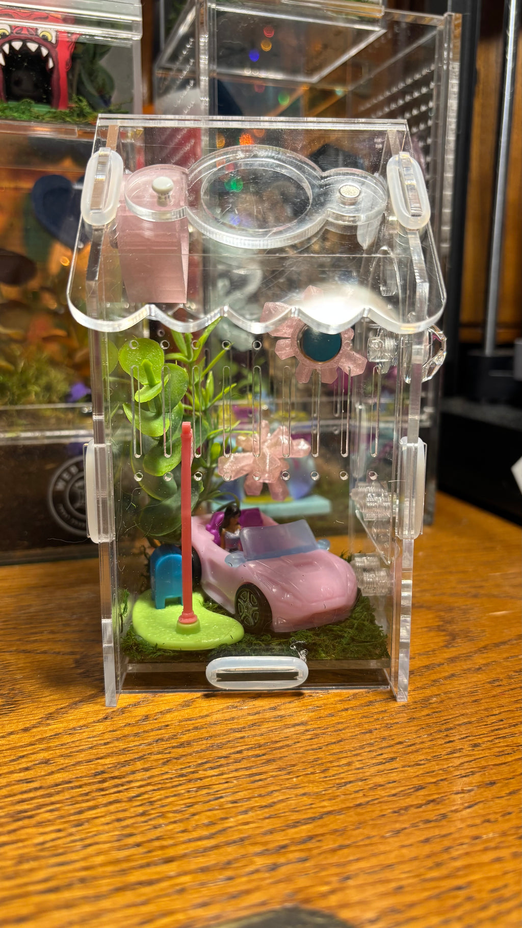 Barbie Car Jumping Spider Enclosure