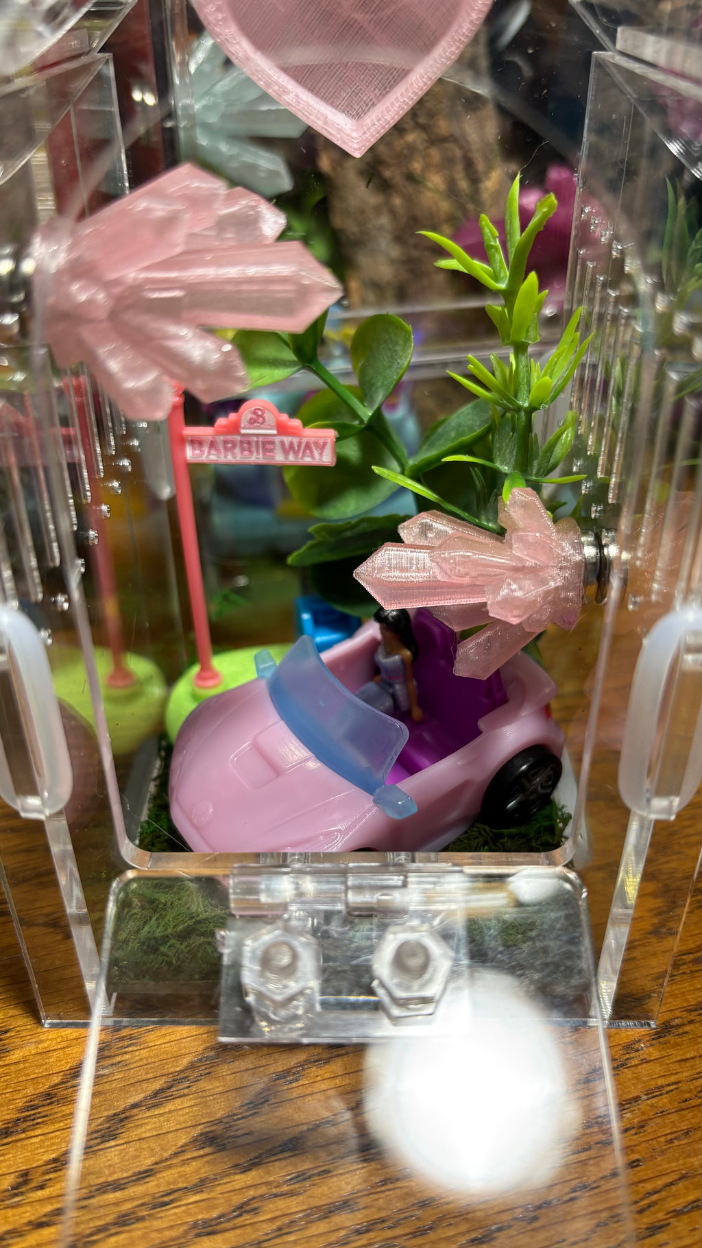 Barbie Car Jumping Spider Enclosure