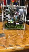 Monster High Frankie Jumping Spider Enclosure