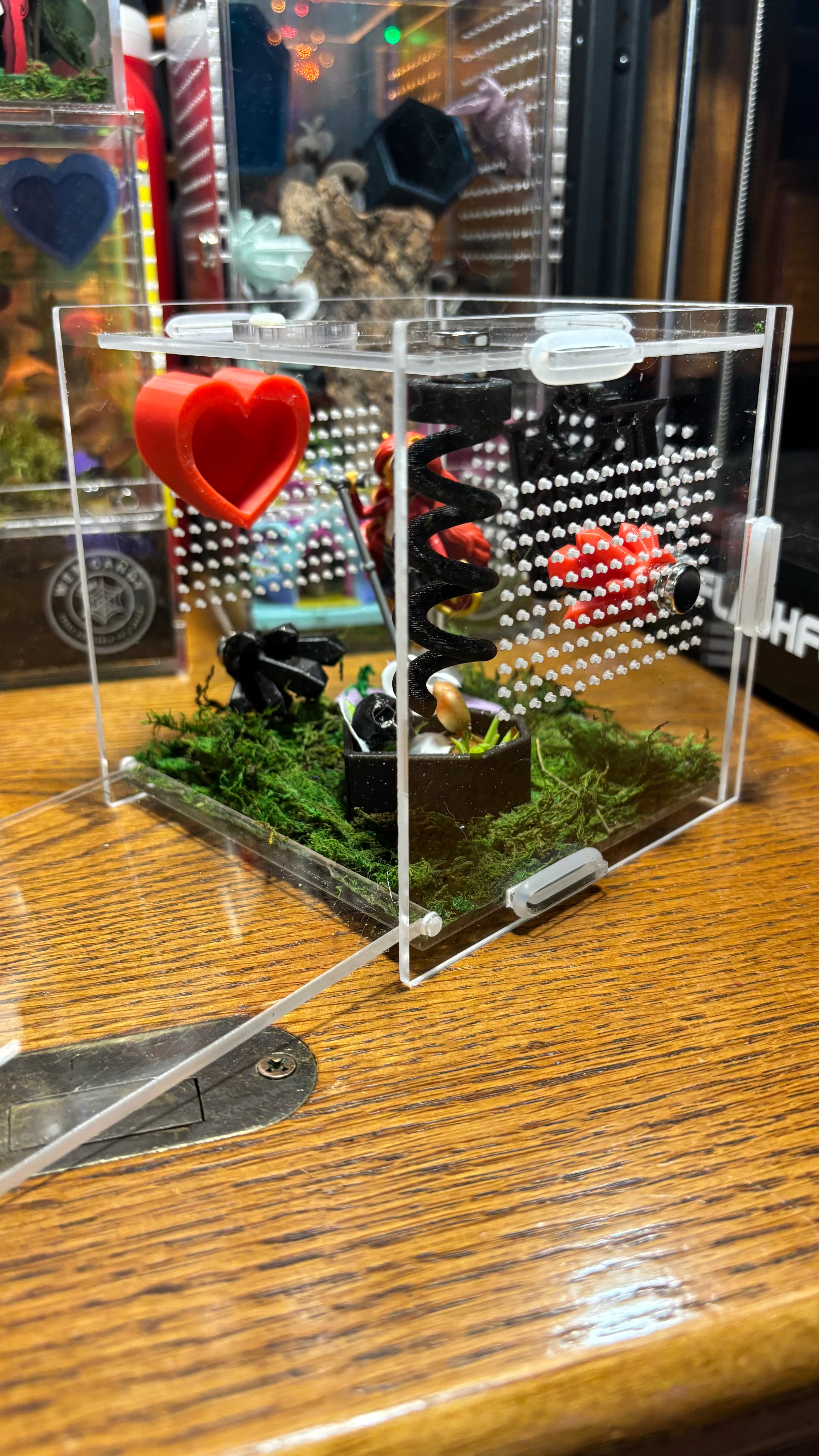 Monster High Toralei Jumping Spider Enclosure